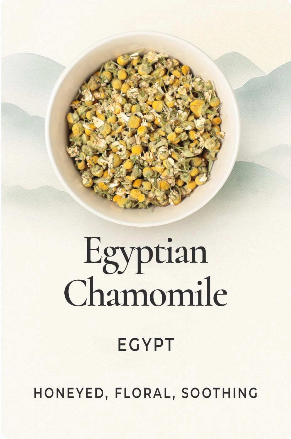 Egyptian Chamomile