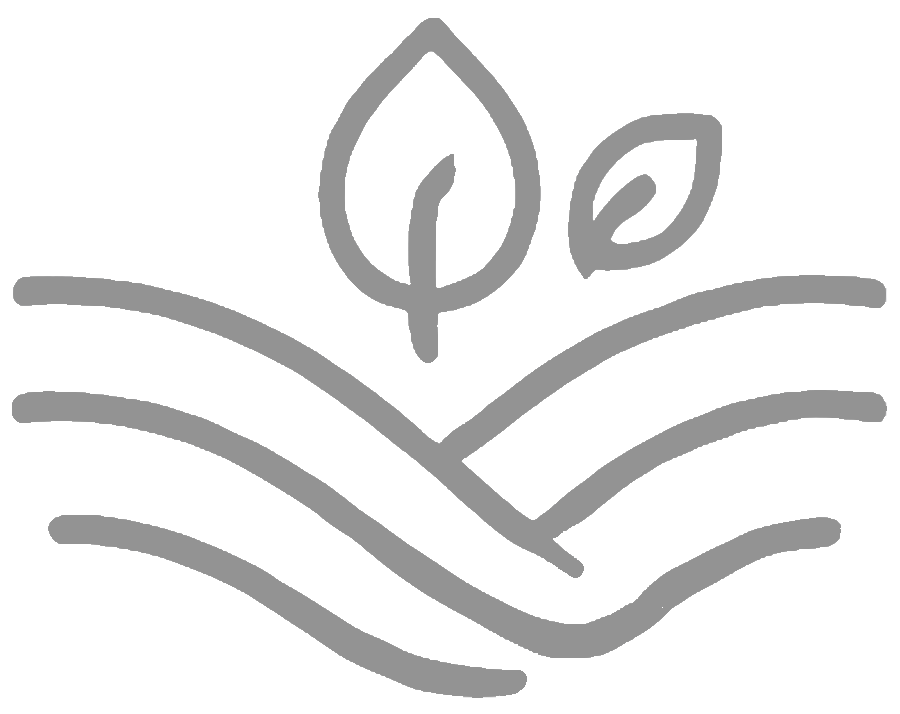 Misty Valley Tea Company