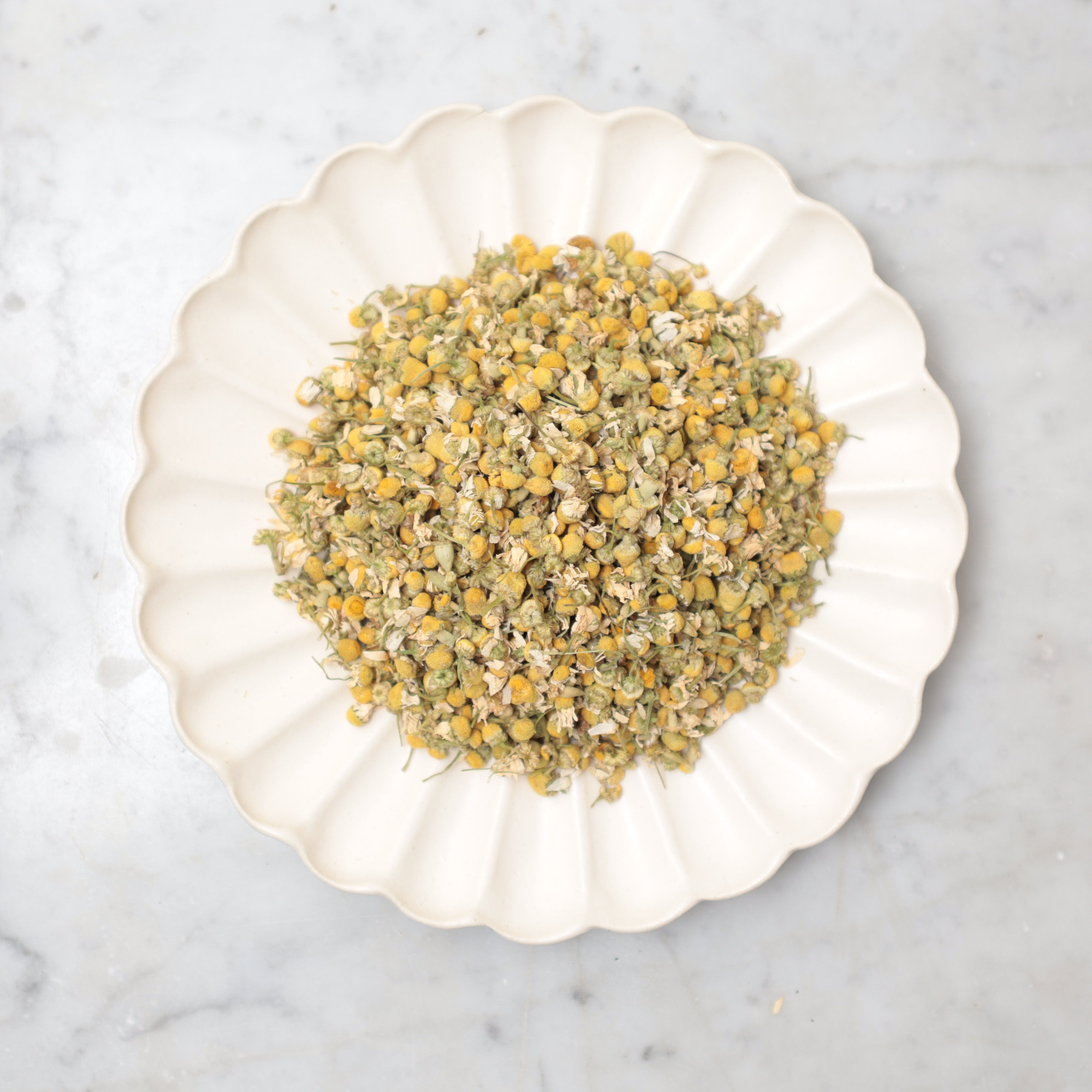 Egyptian Chamomile