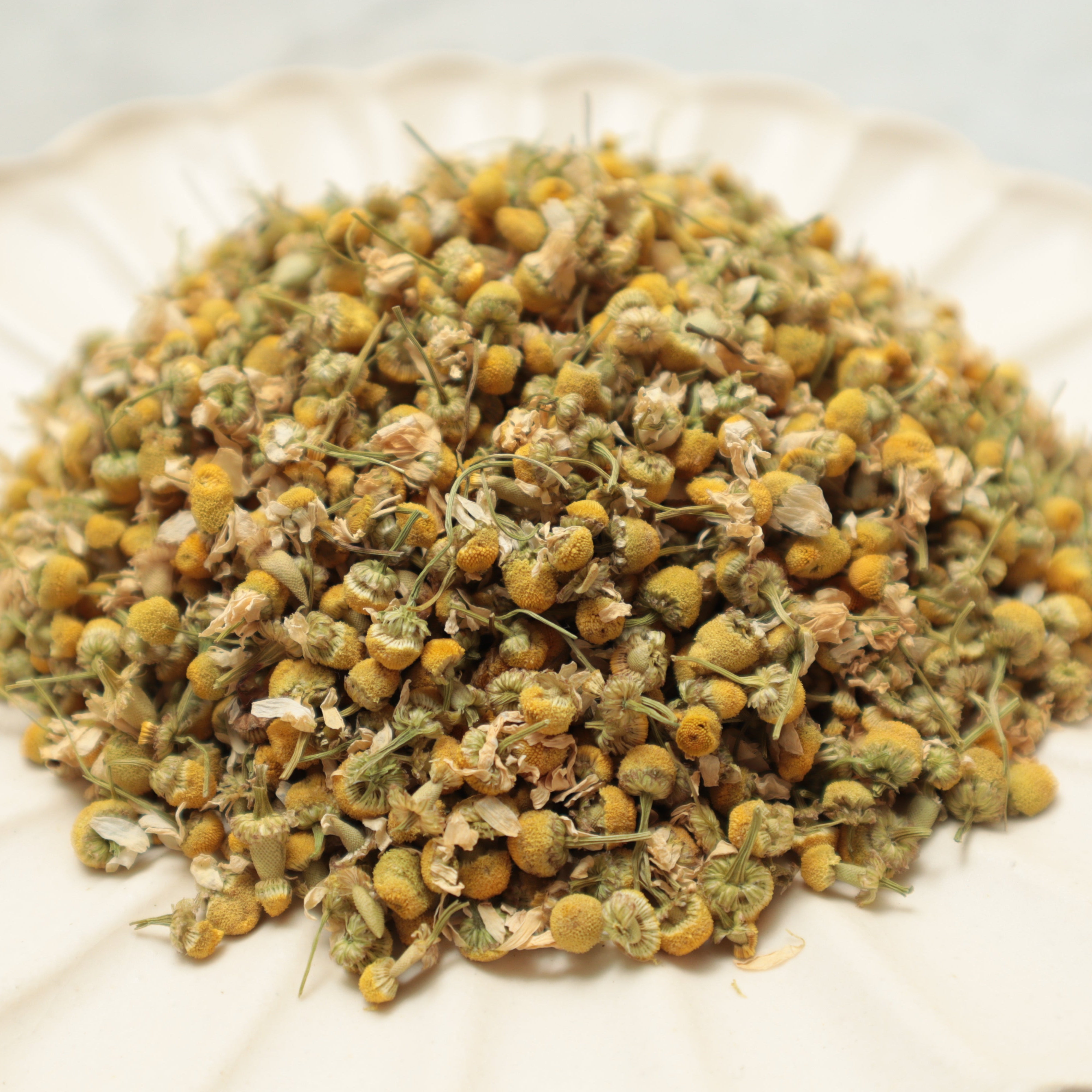 Egyptian Chamomile