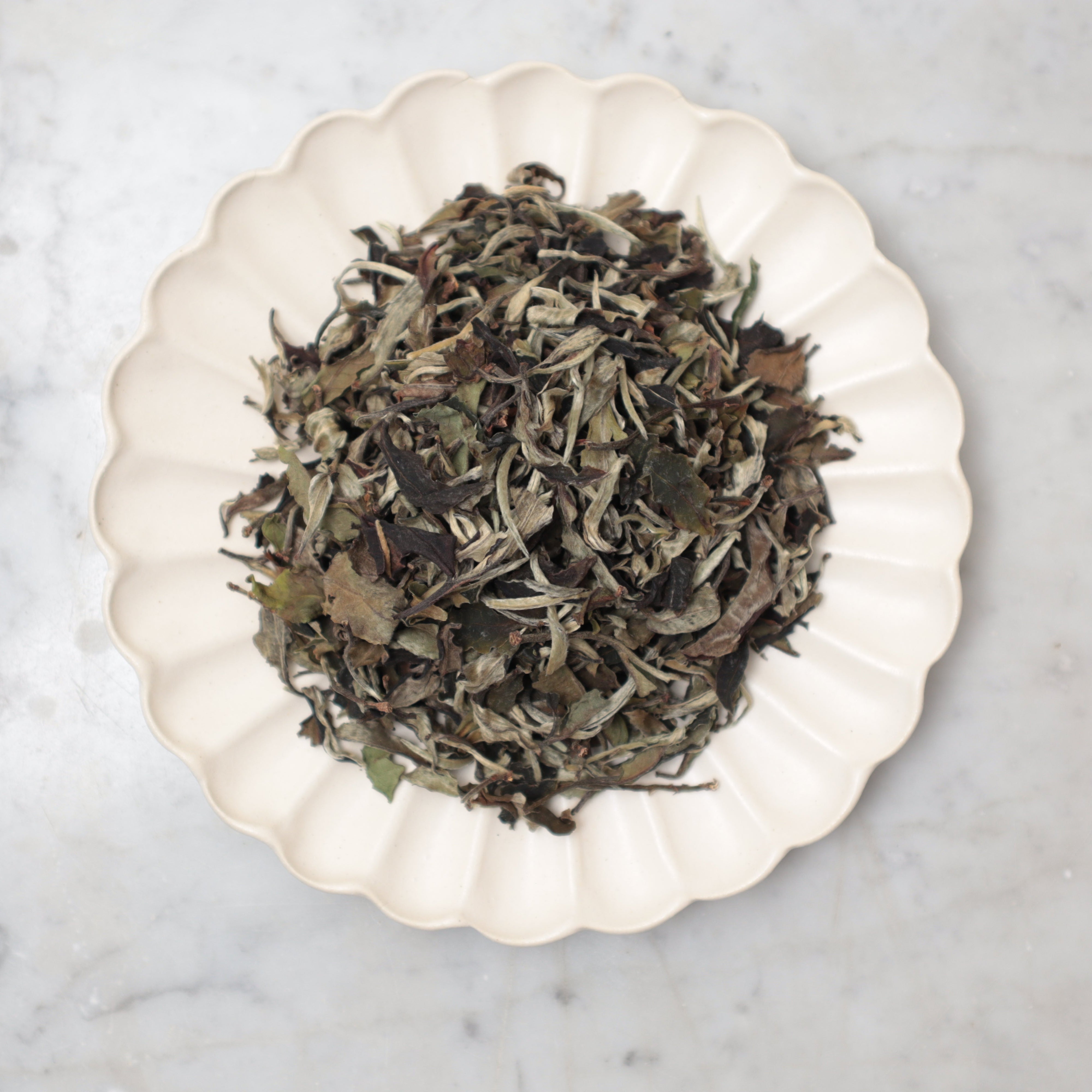 Pai Mu Tan White Peony