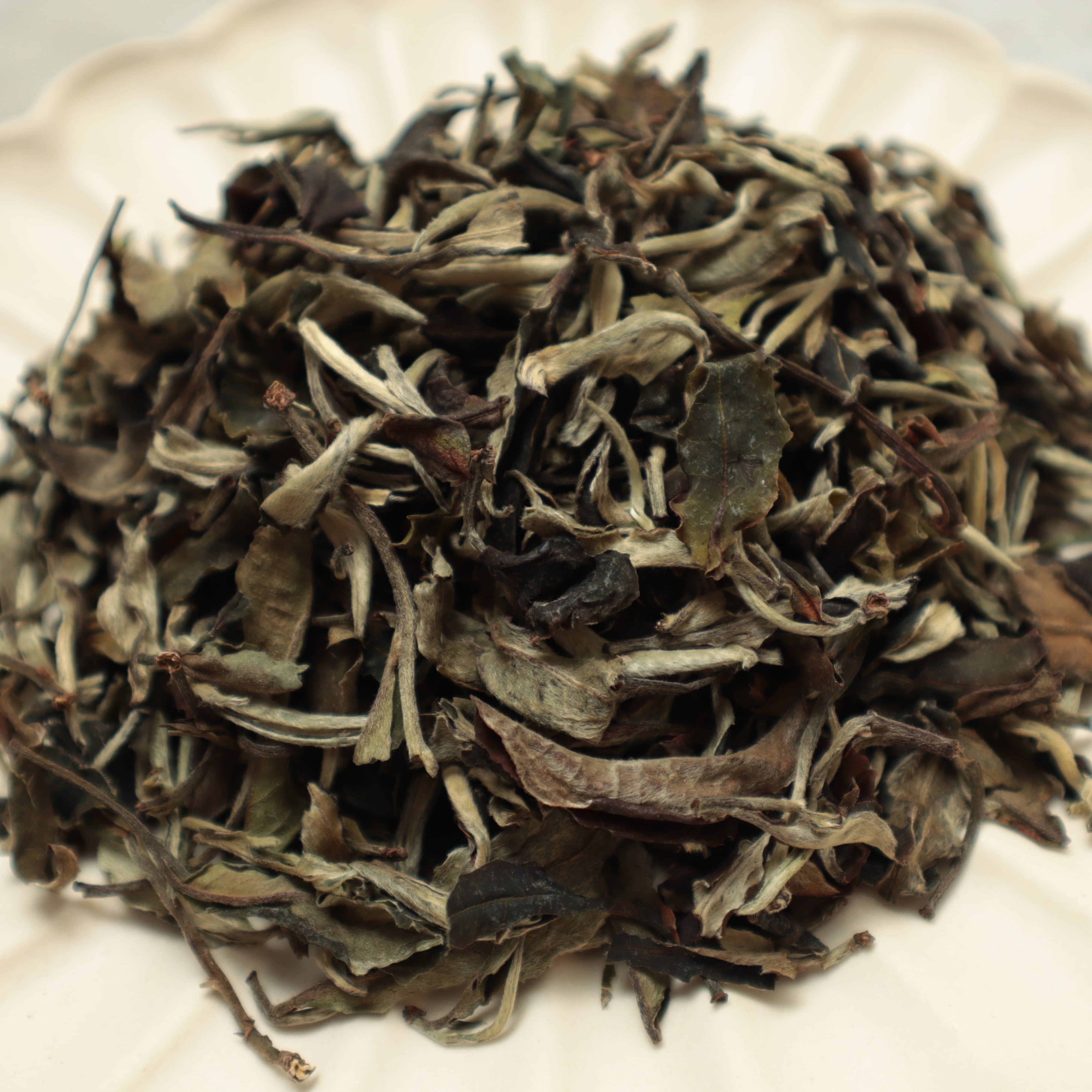 Pai Mu Tan White Peony